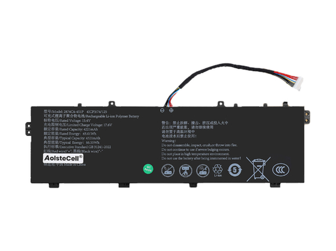 AolsteCell 2874C4-4S1P Ersatzakku