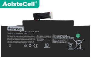 Asus TF300TL Ersatzakku