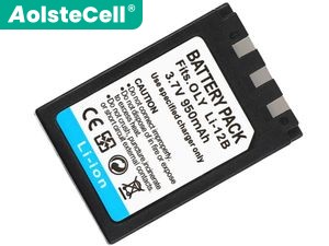 Olympus Camedia X-2 Ersatzakku