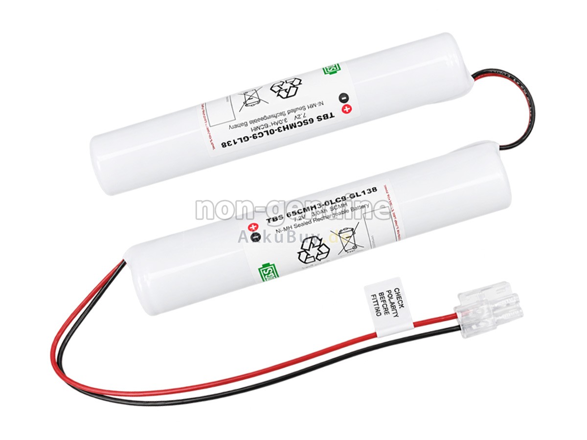 Philips 6SCMH3-0LC9-GL138 Ersatzakku