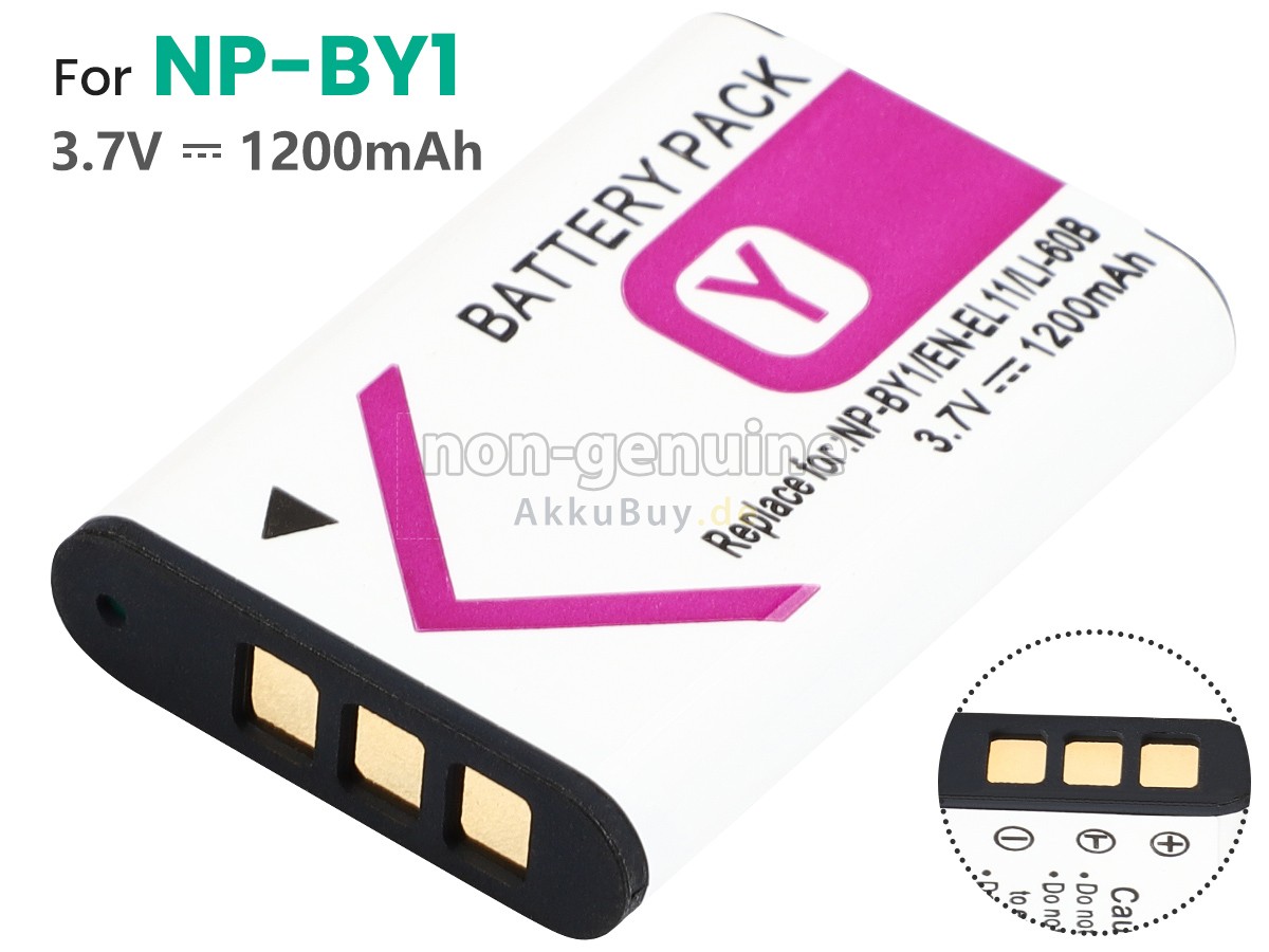 Sony DB-80 Ersatzakku