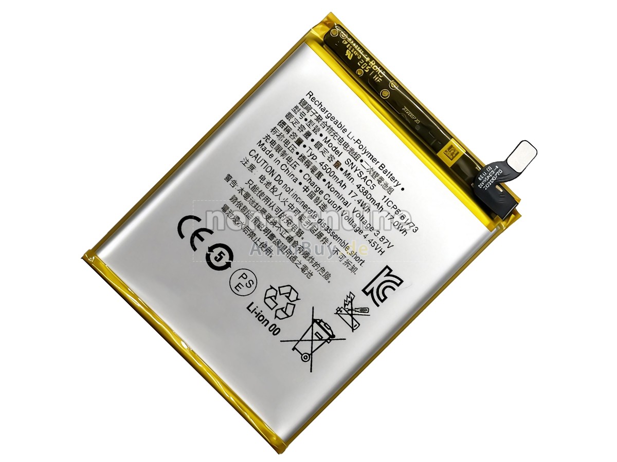 Sony SNYSAC5 Ersatzakku