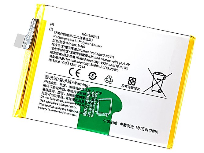 Vivo B-H9 Ersatzakku